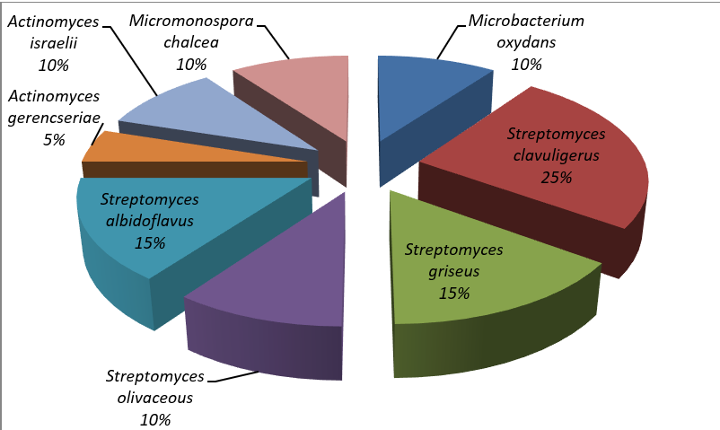 Percentage Occurrence of Actinobacteria Isolated from Different Soil Samples