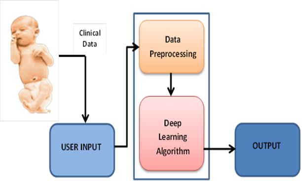 The System Architecture
