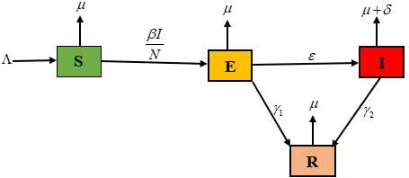 Schematized diagram of northern corn leaf blight