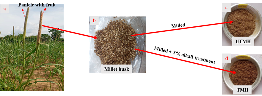 Millet husk preparation from (a) panicle with fruit, (b) millet husk, (c) UTMH, and (d) TMH