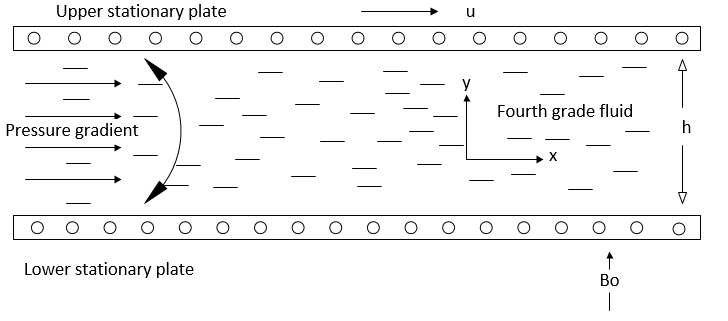 Physical Configuration of the Plane Poiseuille Flow
