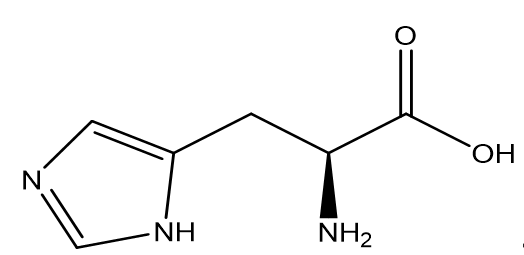 Structure of L-histidine