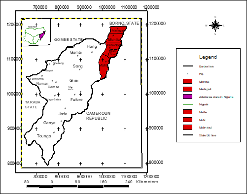 Adamawa State showing Mubi Region