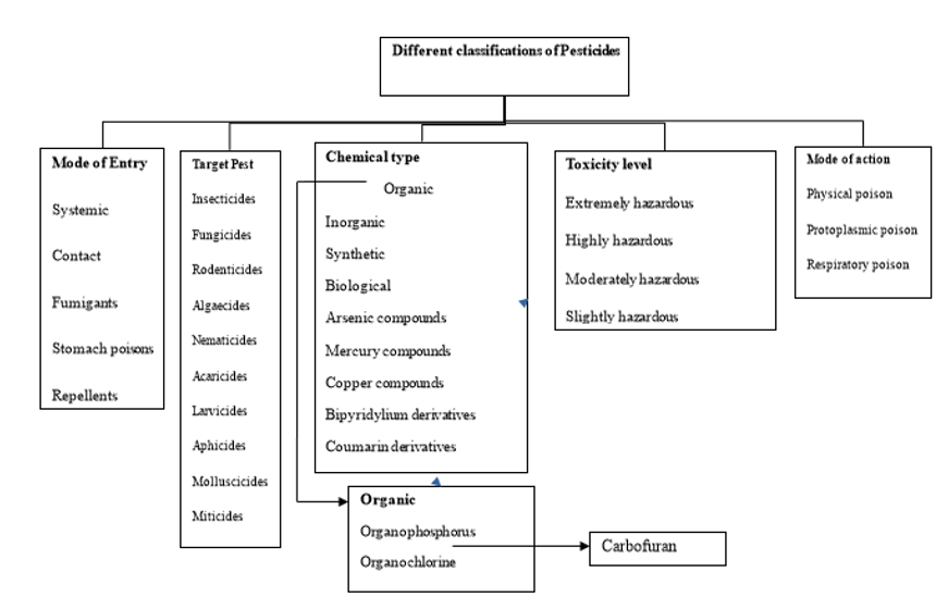Different Classification of Pesticides (Baharudin et al., 2024)
