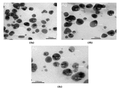 TEM Images of Agnps at (A) 20 Nm, (B) 50 Nm, And (C) 100 Nm Magnifications