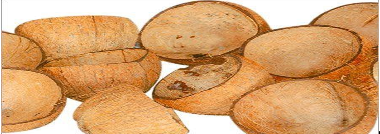 Coconut Shell