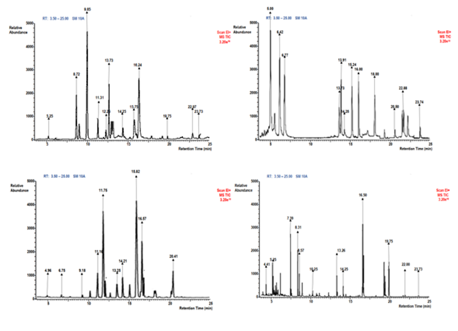 Samples of the Chromatograms Obtained from the GC-MS Result