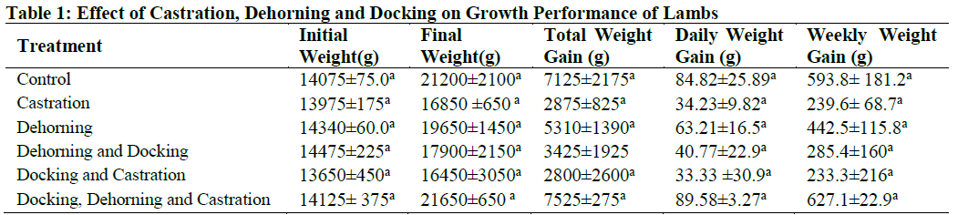 Effect of Castration, Dehorning and Docking on Growth Performance of Lambs