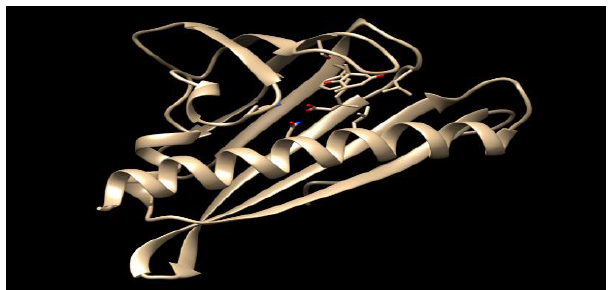 Model 5 – ZmPLY9 Homology Protein Structural Representation in Complex with Abscisic Acid