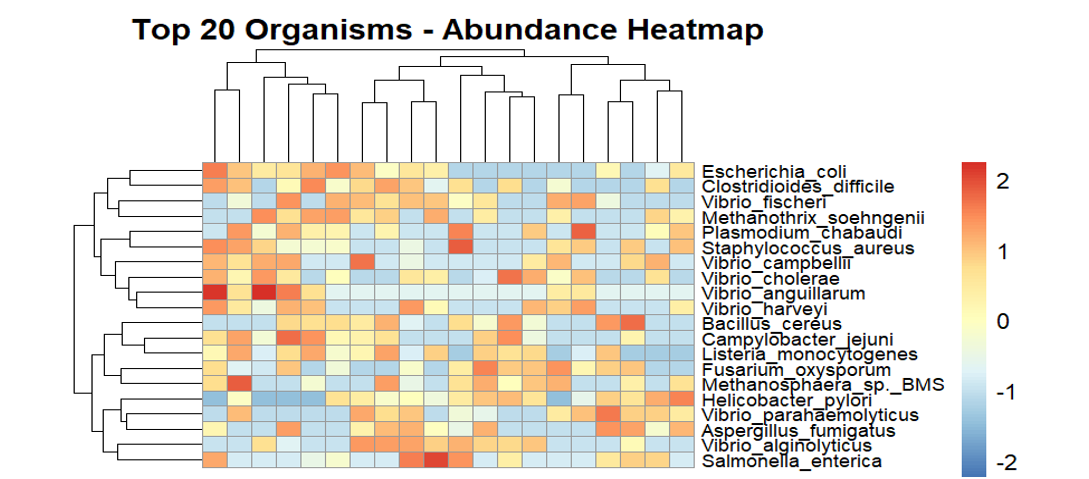 Heatmap of abundance profile of top 20 microbial organisms