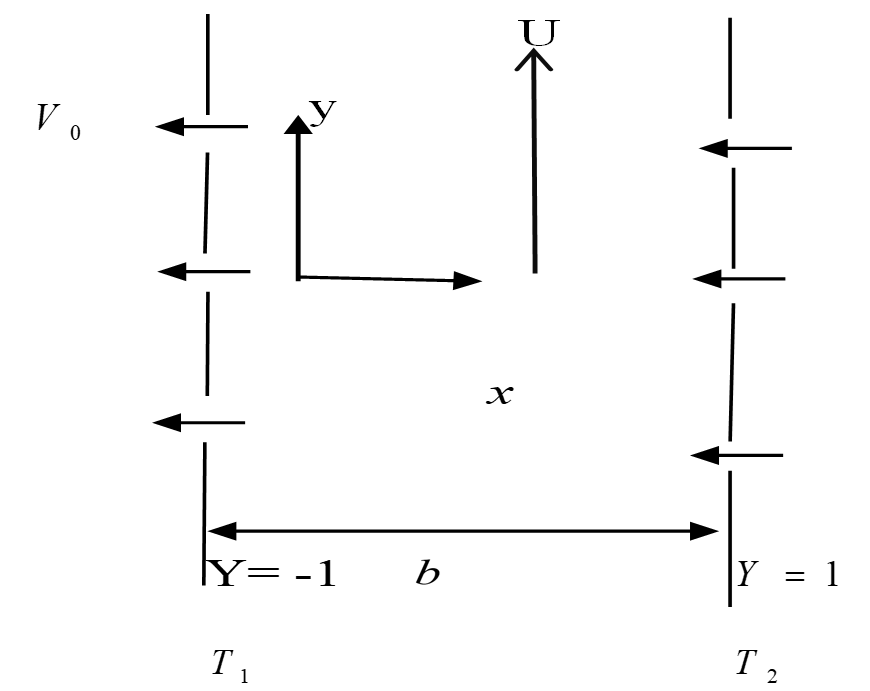 Flow configuration and coordinate system