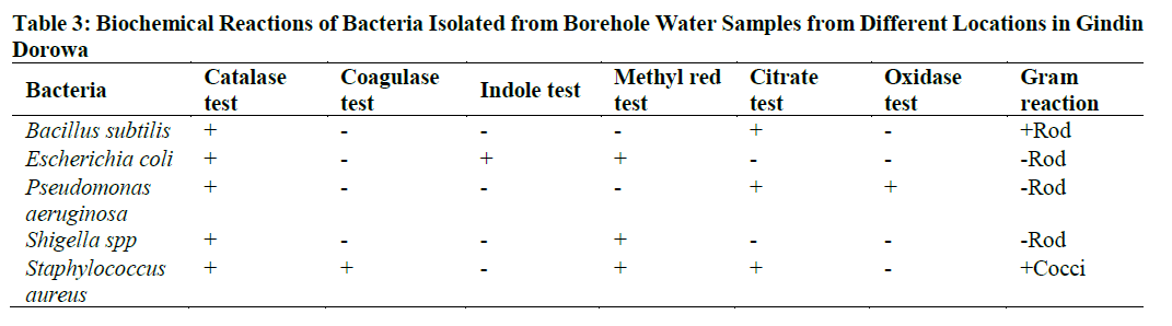 Biochemical Reactions of Bacteria Isolated from Borehole Water Samples from Different Locations in Gindin Dorowa